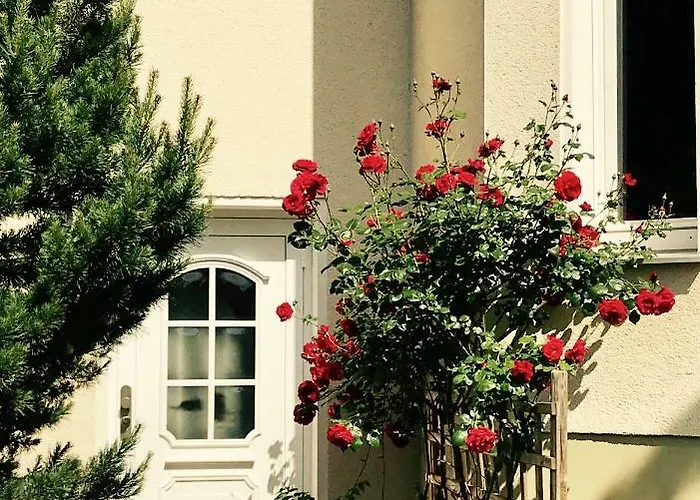 Apartman Buergerpark